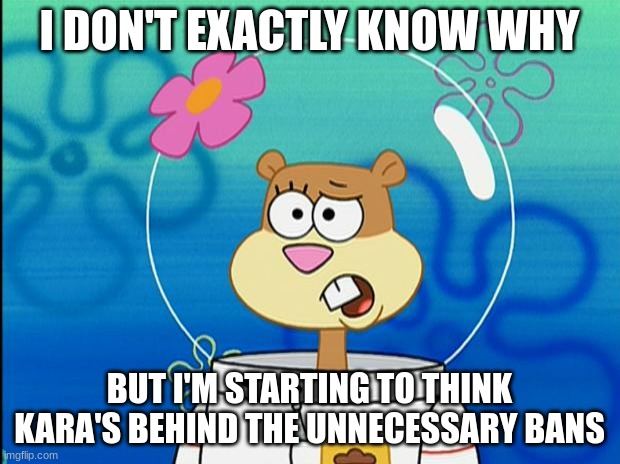 i have no idea who's behind this but saw posts of Kara's hatred. | I DON'T EXACTLY KNOW WHY; BUT I'M STARTING TO THINK KARA'S BEHIND THE UNNECESSARY BANS | image tagged in sandy i don't know why | made w/ Imgflip meme maker