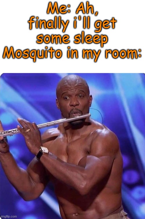 Mosquito | Me: Ah, finally i'll get some sleep
Mosquito in my room: | image tagged in mosquito attack | made w/ Imgflip meme maker
