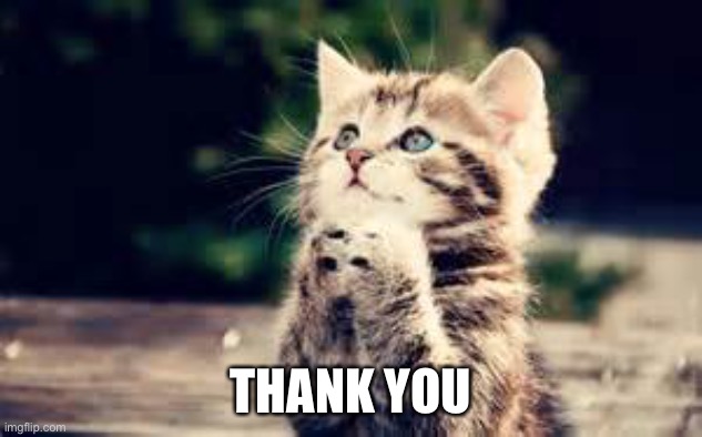 Thanks you | THANK YOU | image tagged in praying kitteh | made w/ Imgflip meme maker