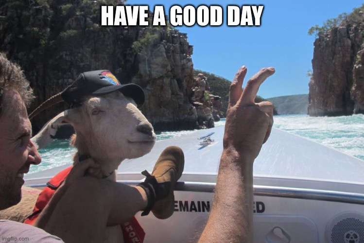 Have a good day | HAVE A GOOD DAY | image tagged in goat in a boat,understandable have a great day | made w/ Imgflip meme maker