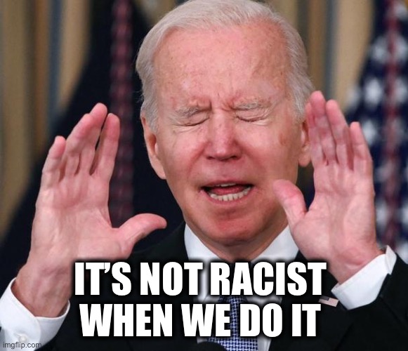 Biden stop | IT’S NOT RACIST 
WHEN WE DO IT | image tagged in biden stop | made w/ Imgflip meme maker