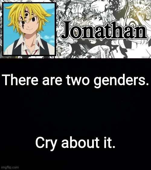 There are two genders. Cry about it. | image tagged in jonathan's sds temp | made w/ Imgflip meme maker