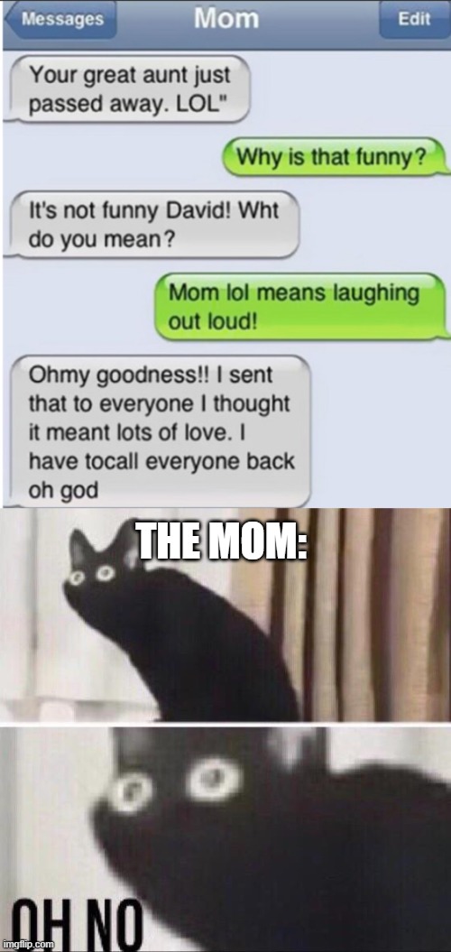 OH NO... | THE MOM: | image tagged in oh no cat,oh no,luna_the_dragon,lol,mistake,aunt | made w/ Imgflip meme maker