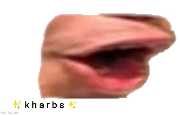 ✨ k h a r b s ✨ | ✨ k h a r b s ✨ | image tagged in pog mouth,k h a r b s | made w/ Imgflip meme maker