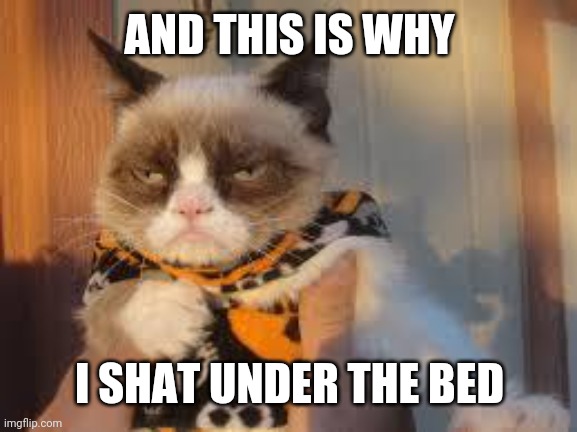 Grumpy Cat Halloween |  AND THIS IS WHY; I SHAT UNDER THE BED | image tagged in memes,grumpy cat halloween,grumpy cat | made w/ Imgflip meme maker