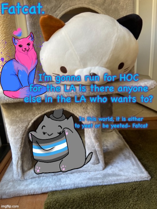 anyone else in the LA who wants to run for HOC? Because I’ve seen other people say they want to, but from different party’s. | I’m gonna run for HOC for the LA is there anyone else in the LA who wants to? | image tagged in fatcat s template | made w/ Imgflip meme maker