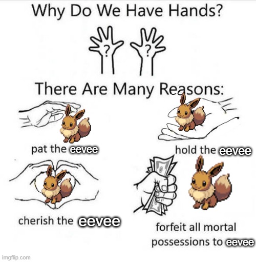 Why Do We Have Hands | eevee eevee eevee eevee | image tagged in why do we have hands | made w/ Imgflip meme maker