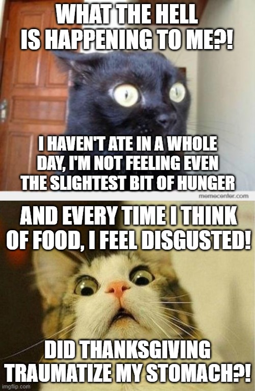 I feel like i'm constantly full! | WHAT THE HELL IS HAPPENING TO ME?! I HAVEN'T ATE IN A WHOLE DAY, I'M NOT FEELING EVEN THE SLIGHTEST BIT OF HUNGER; AND EVERY TIME I THINK OF FOOD, I FEEL DISGUSTED! DID THANKSGIVING TRAUMATIZE MY STOMACH?! | image tagged in scared cat,memes,thanksgiving,thanksgiving hangover,fallout,h e l p | made w/ Imgflip meme maker