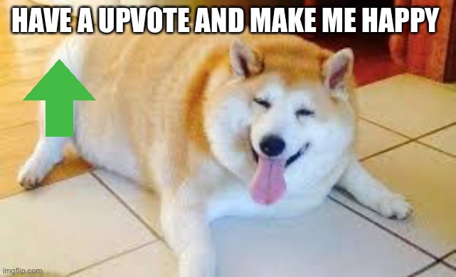 Thicc Doggo |  HAVE A UPVOTE AND MAKE ME HAPPY | image tagged in thicc doggo | made w/ Imgflip meme maker