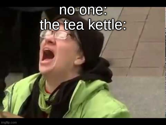 reeeeeeeeeeeeeeeeeeeeeeeeeeeeeeee | no one:
the tea kettle: | image tagged in reeeeeeeeeeeeeeeeeeee | made w/ Imgflip meme maker