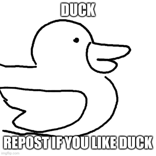 Duckpost | DUCK; REPOST IF YOU LIKE DUCK | image tagged in memes,blank transparent square | made w/ Imgflip meme maker