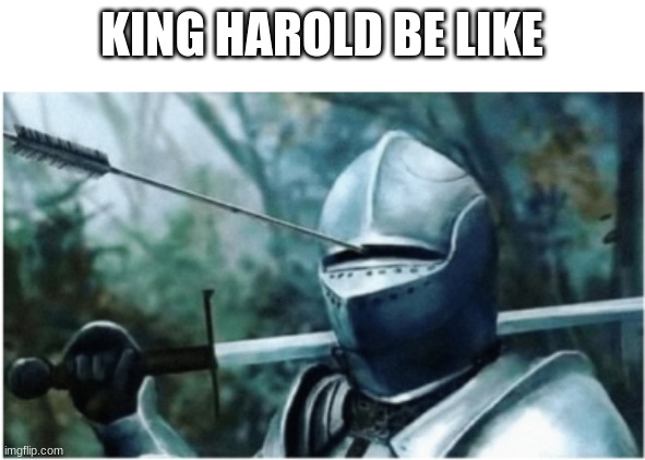 Arrow throw helmet | KING HAROLD BE LIKE | image tagged in arrow throw helmet | made w/ Imgflip meme maker