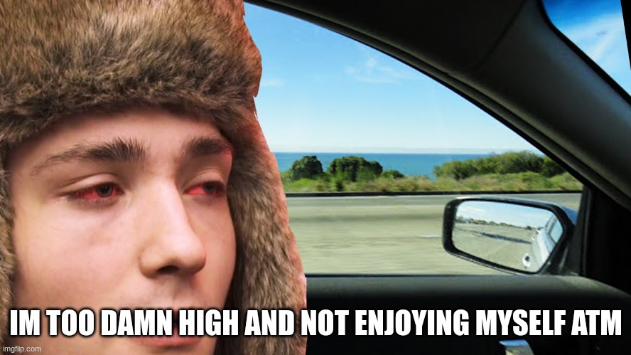 IM TOO DAMN HIGH AND NOT ENJOYING MYSELF ATM | made w/ Imgflip meme maker
