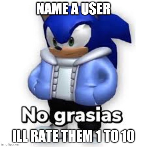 No grasias | NAME A USER; ILL RATE THEM 1 TO 10 | image tagged in no grasias | made w/ Imgflip meme maker