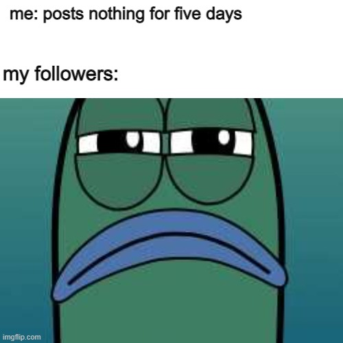 clever title | me: posts nothing for five days; my followers: | image tagged in spongebob,fish,not funny | made w/ Imgflip meme maker