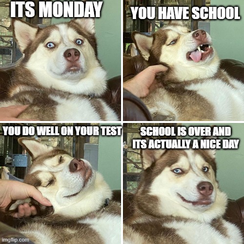 mondays be like (also new temp) | ITS MONDAY; YOU HAVE SCHOOL; YOU DO WELL ON YOUR TEST; SCHOOL IS OVER AND ITS ACTUALLY A NICE DAY | image tagged in confused doggo,dogs,monday,school,funny,memes | made w/ Imgflip meme maker