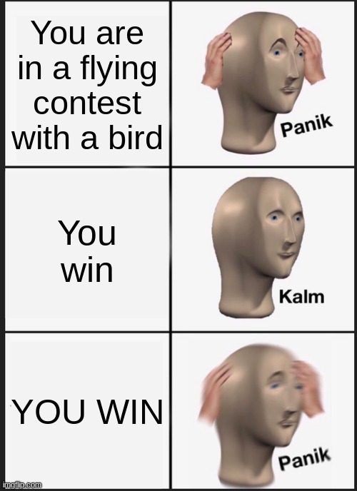 Bird Contest | You are in a flying contest with a bird; You win; YOU WIN | image tagged in memes,panik kalm panik | made w/ Imgflip meme maker
