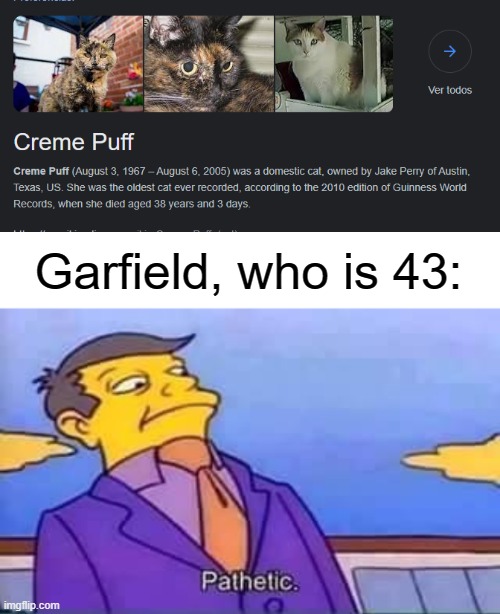 Garfield, who is 43: | image tagged in skinner pathetic | made w/ Imgflip meme maker