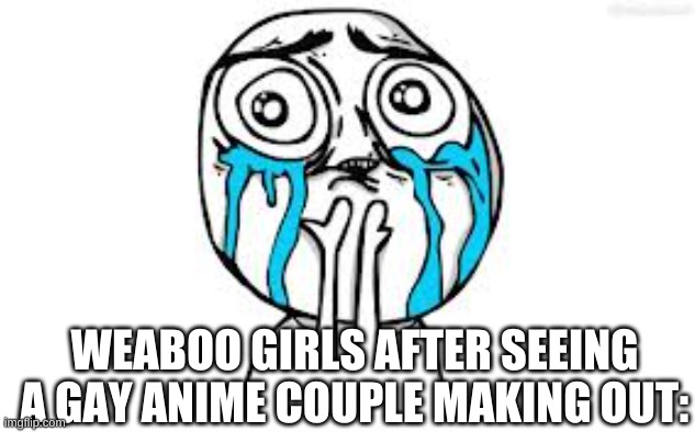 like bruh |  WEABOO GIRLS AFTER SEEING A GAY ANIME COUPLE MAKING OUT: | image tagged in memes,crying because of cute | made w/ Imgflip meme maker