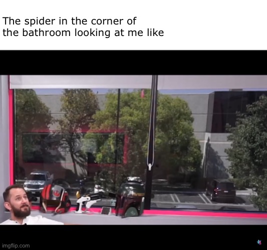 Make it good | The spider in the corner of the bathroom looking at me like | image tagged in matthias,dope or nope | made w/ Imgflip meme maker