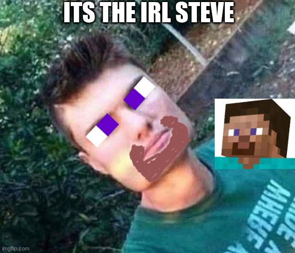 say hello to the world, irl steve | ITS THE IRL STEVE | image tagged in memes,minecraft steve,gaming,cursed image | made w/ Imgflip meme maker