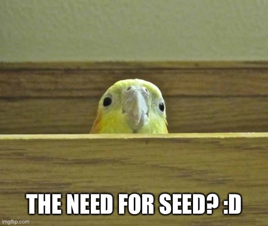 The Birb | THE NEED FOR SEED? :D | image tagged in the birb | made w/ Imgflip meme maker