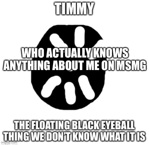 am I strangr? | WHO ACTUALLY KNOWS ANYTHING ABOUT ME ON MSMG | image tagged in timmy temp | made w/ Imgflip meme maker