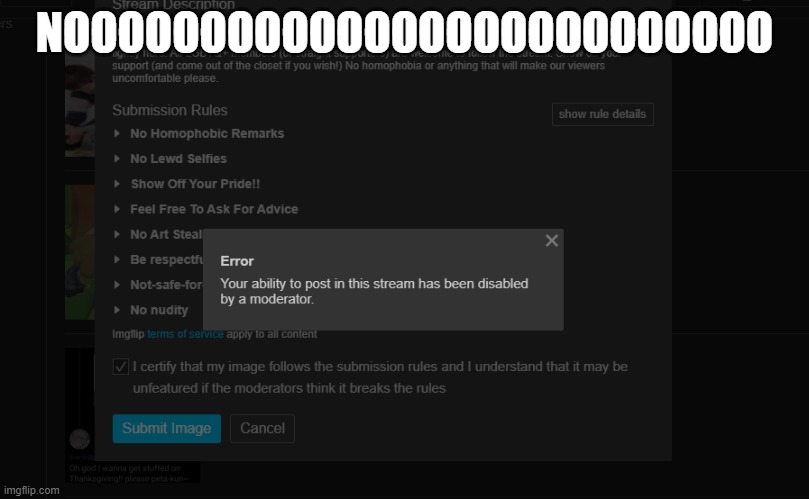 NOOOOOOOOOOOOOOOOOOOOOOOOOO | made w/ Imgflip meme maker