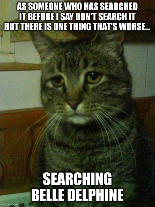 Depressed Cat Meme | AS SOMEONE WHO HAS SEARCHED IT BEFORE I SAY DON'T SEARCH IT BUT THERE IS ONE THING THAT'S WORSE... SEARCHING BELLE DELPHINE | image tagged in memes,depressed cat | made w/ Imgflip meme maker