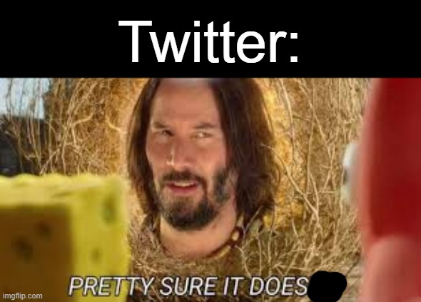 Pretty sure it doesn't | Twitter: | image tagged in pretty sure it doesn't | made w/ Imgflip meme maker