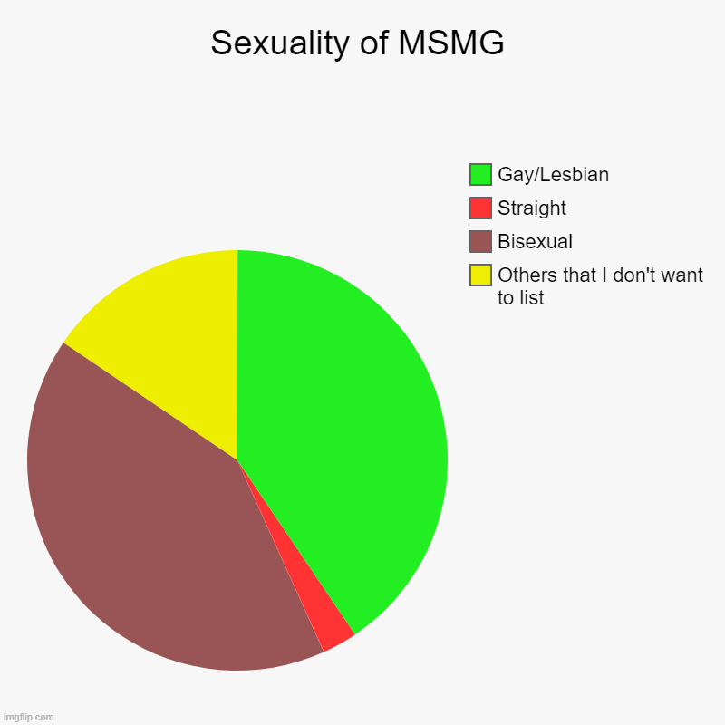 Don't take offense but this is a stereotype | Sexuality of MSMG | Others that I don't want to list, Bisexual, Straight, Gay/Lesbian | image tagged in charts,pie charts | made w/ Imgflip chart maker
