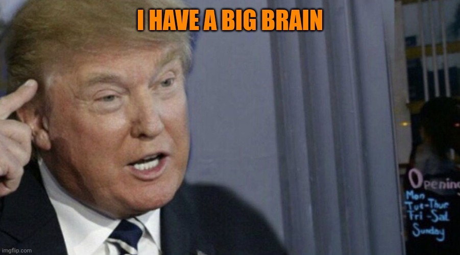 Trump Roll Safe | I HAVE A BIG BRAIN | image tagged in trump roll safe | made w/ Imgflip meme maker