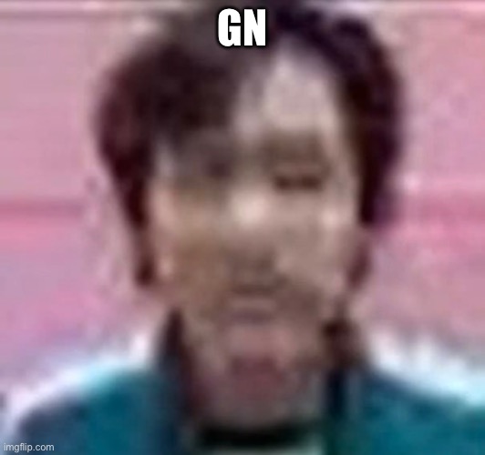 Low Quality Squid Game Guy | GN | image tagged in low quality squid game guy | made w/ Imgflip meme maker