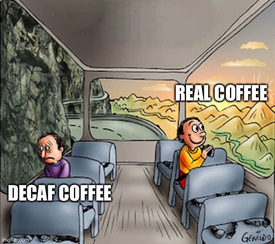 Mmmm, coffee | REAL COFFEE; DECAF COFFEE | image tagged in two guys on a bus,coffee,coffee addict | made w/ Imgflip meme maker