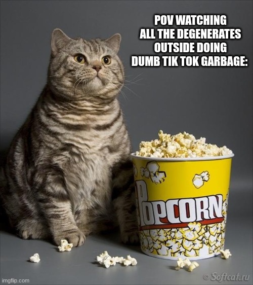 Another shit post from your boy max :) |  POV WATCHING ALL THE DEGENERATES OUTSIDE DOING DUMB TIK TOK GARBAGE: | image tagged in cat eating popcorn,cats,tik tok sucks,garbage,oh wow are you actually reading these tags,just another shit post from max | made w/ Imgflip meme maker