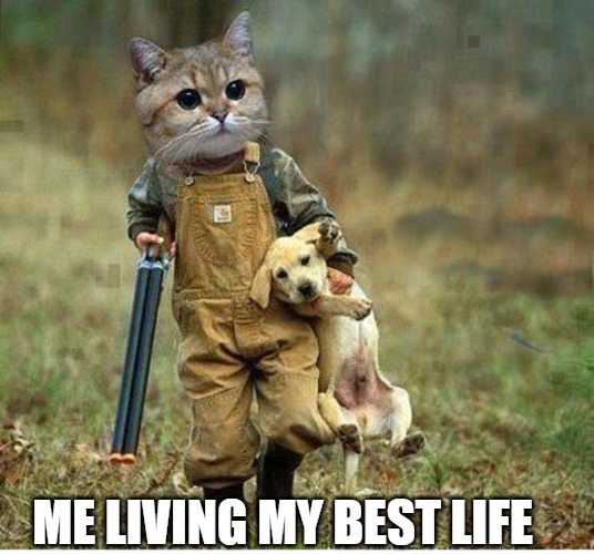 off the grid | ME LIVING MY BEST LIFE | image tagged in hunting time,cat | made w/ Imgflip meme maker