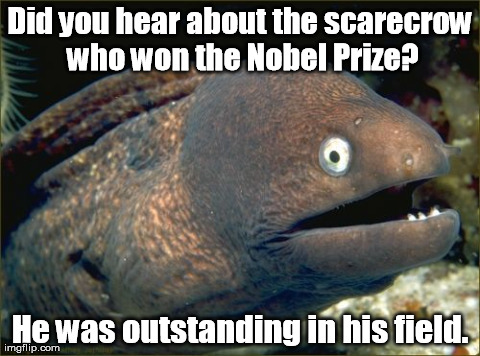 If I only had a brain ... | Did you hear about the scarecrow who won the Nobel Prize? He was outstanding in his field. | image tagged in memes,bad joke eel | made w/ Imgflip meme maker