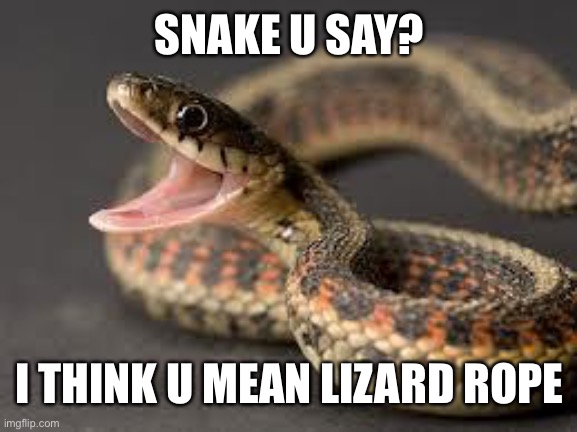 Told u i'd be back! | SNAKE U SAY? I THINK U MEAN LIZARD ROPE | image tagged in warning snake | made w/ Imgflip meme maker