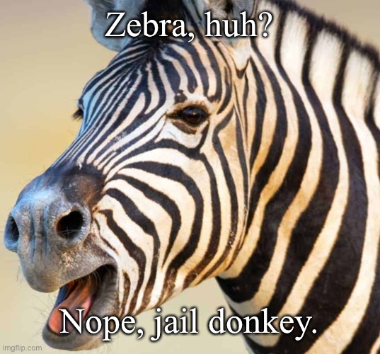 My third animal renaming! | Zebra, huh? Nope, jail donkey. | image tagged in happy zebra | made w/ Imgflip meme maker