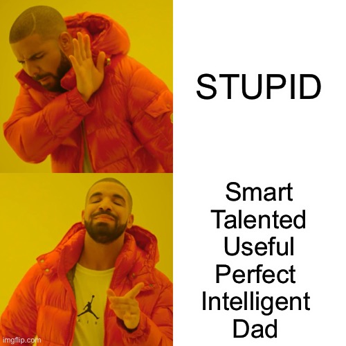 S.T.U.P.I.D | STUPID; Smart
Talented
Useful
Perfect 
Intelligent 
Dad | image tagged in memes,drake hotline bling | made w/ Imgflip meme maker