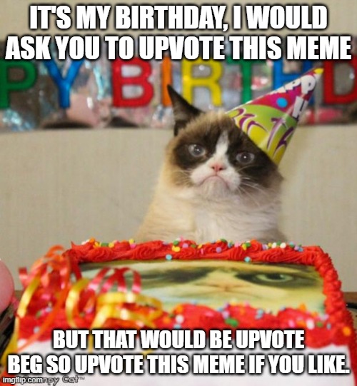 Birthday party. | IT'S MY BIRTHDAY, I WOULD ASK YOU TO UPVOTE THIS MEME; BUT THAT WOULD BE UPVOTE BEG SO UPVOTE THIS MEME IF YOU LIKE. | image tagged in memes,grumpy cat birthday,grumpy cat | made w/ Imgflip meme maker
