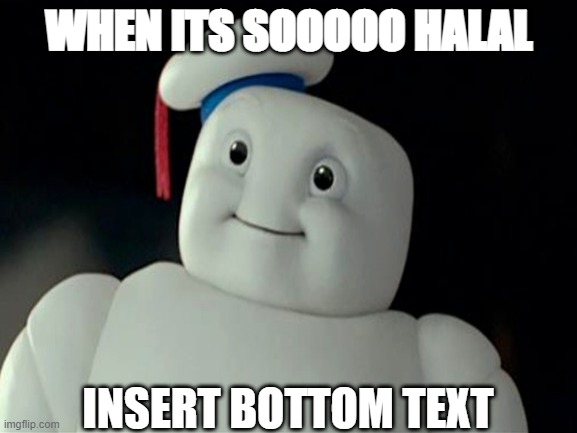 hmmmmm | WHEN ITS SOOOOO HALAL; INSERT BOTTOM TEXT | image tagged in ghostbusters,muslim,memes | made w/ Imgflip meme maker