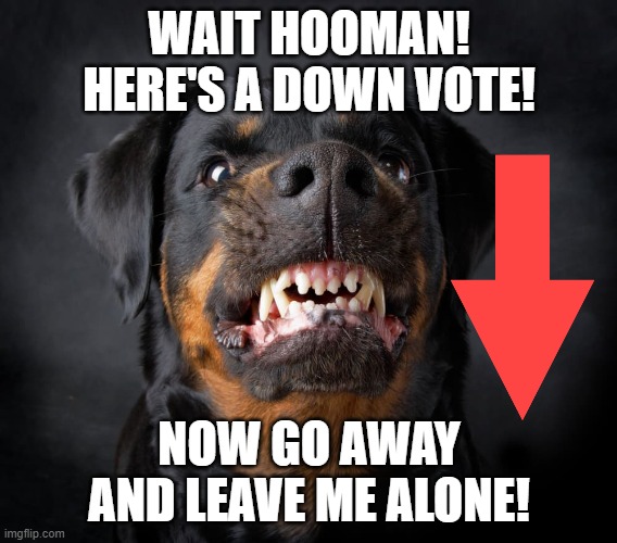 WAIT HOOMAN! HERE'S A DOWN VOTE! NOW GO AWAY AND LEAVE ME ALONE! | image tagged in downvote | made w/ Imgflip meme maker