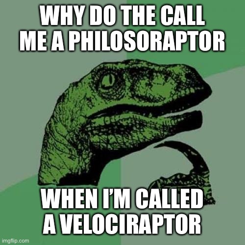 He has found out his fame, and now wonders about his name. |  WHY DO THE CALL ME A PHILOSORAPTOR; WHEN I’M CALLED A VELOCIRAPTOR | image tagged in memes,philosoraptor | made w/ Imgflip meme maker