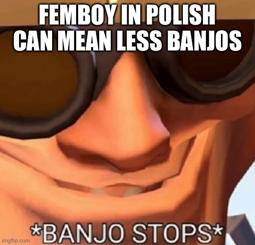 hmm | FEMBOY IN POLISH CAN MEAN LESS BANJOS | image tagged in banjo stops | made w/ Imgflip meme maker
