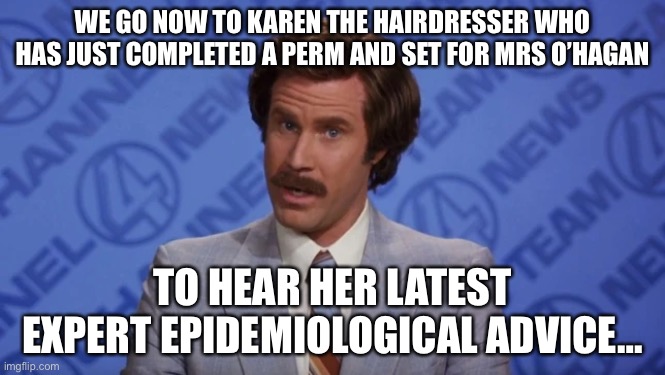 Covid experts | WE GO NOW TO KAREN THE HAIRDRESSER WHO HAS JUST COMPLETED A PERM AND SET FOR MRS O’HAGAN; TO HEAR HER LATEST EXPERT EPIDEMIOLOGICAL ADVICE… | image tagged in covid19 | made w/ Imgflip meme maker