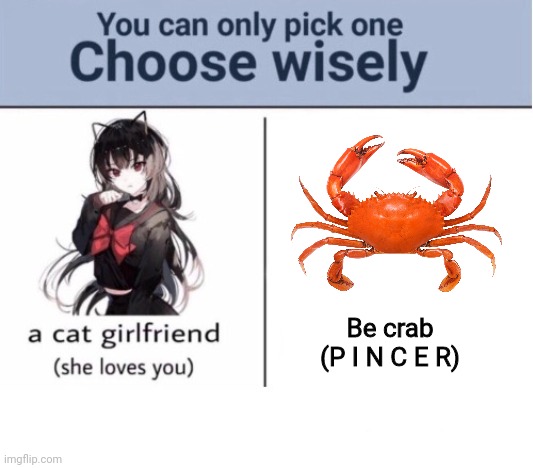Choose wisely | Be crab
(P I N C E R) | image tagged in choose wisely | made w/ Imgflip meme maker