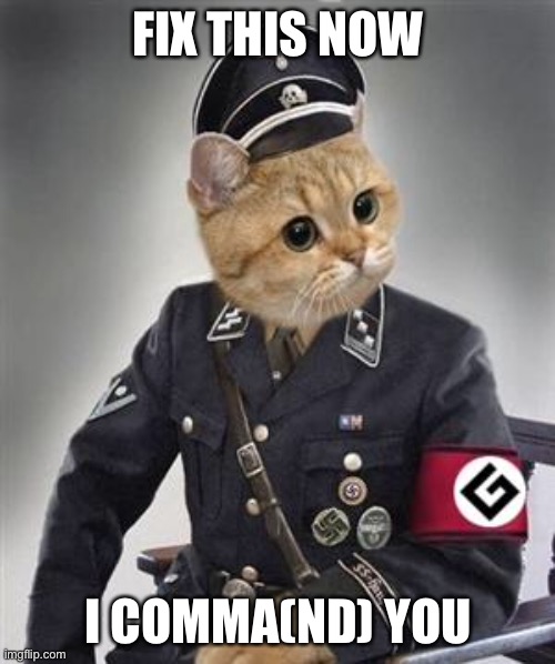 Grammar Nazi Cat | FIX THIS NOW I COMMA(ND) YOU | image tagged in grammar nazi cat,spelling,spelling error | made w/ Imgflip meme maker