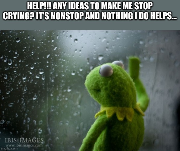 Please? I listen to one sad song and everythjng darkens | HELP!!! ANY IDEAS TO MAKE ME STOP CRYING? IT'S NONSTOP AND NOTHING I DO HELPS... | image tagged in kermit window | made w/ Imgflip meme maker