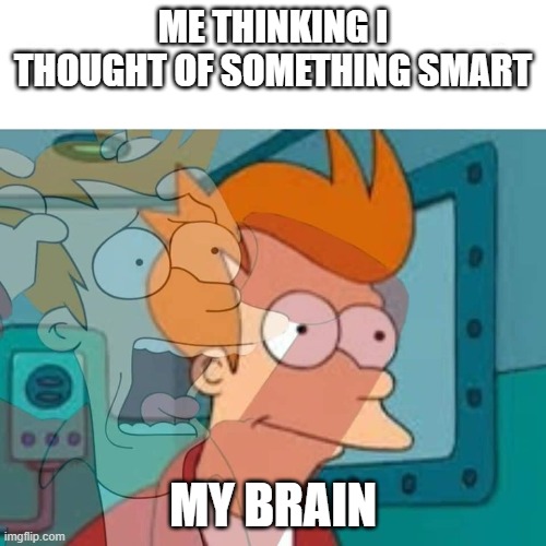 good or bad idea | ME THINKING I THOUGHT OF SOMETHING SMART; MY BRAIN | image tagged in fry,funny,brain,dumb | made w/ Imgflip meme maker